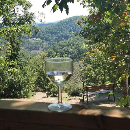 Safaritent Glamping Orlando In Chianti Cavriglia Extérieur photo